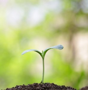 your paragraph text (8)