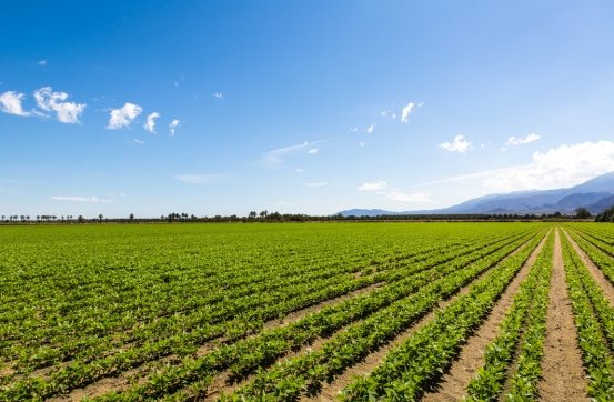 your paragraph text (9)